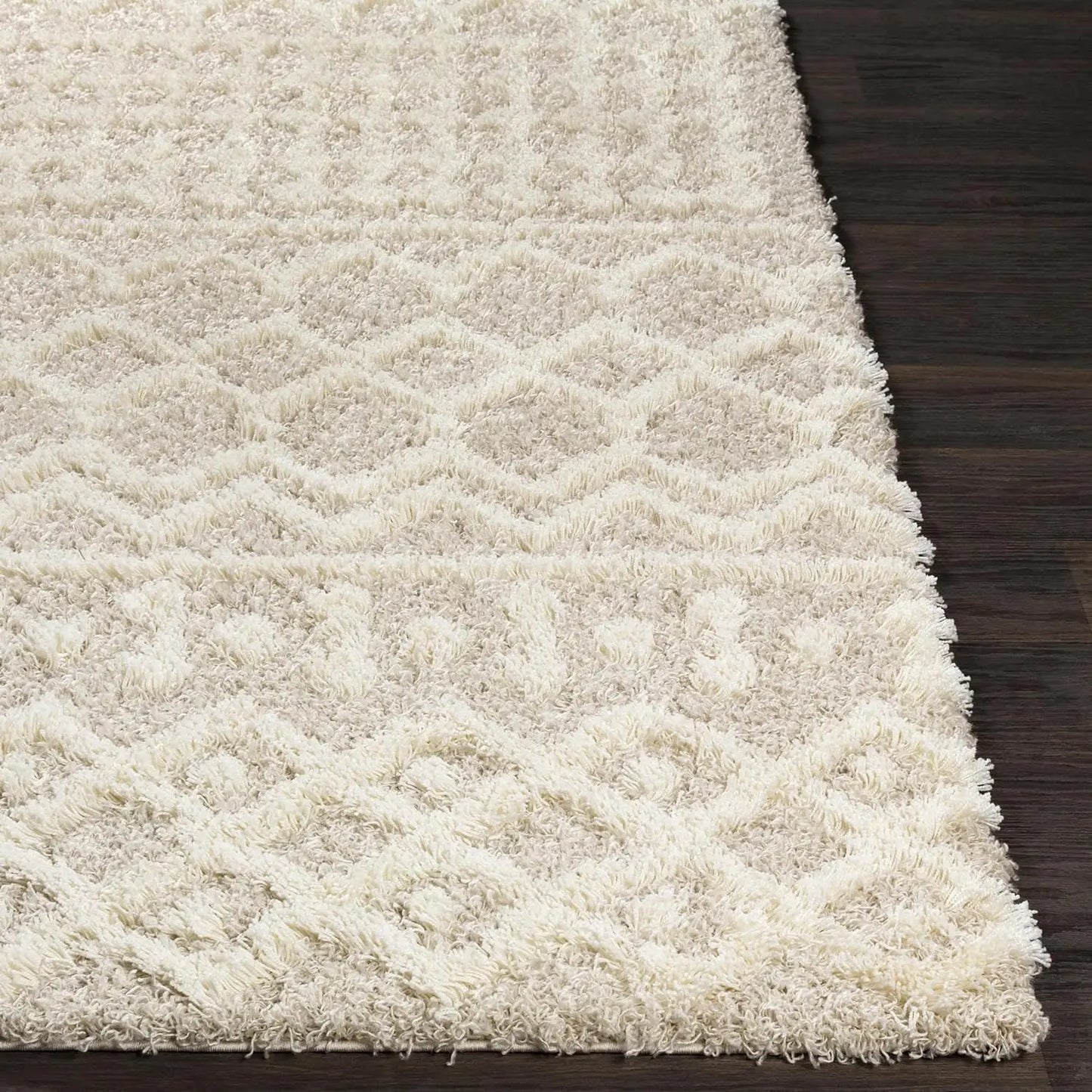 Textured Living Room Shag Area Rug, 6'7" x 9'6", Beige