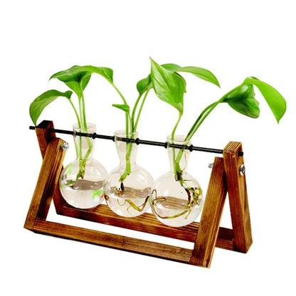 Terrarium Creative Hydroponic Plant Vase